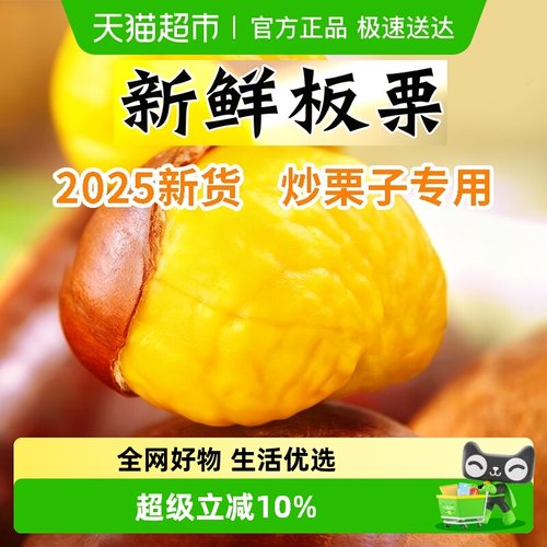 新鲜板栗油栗2025新果