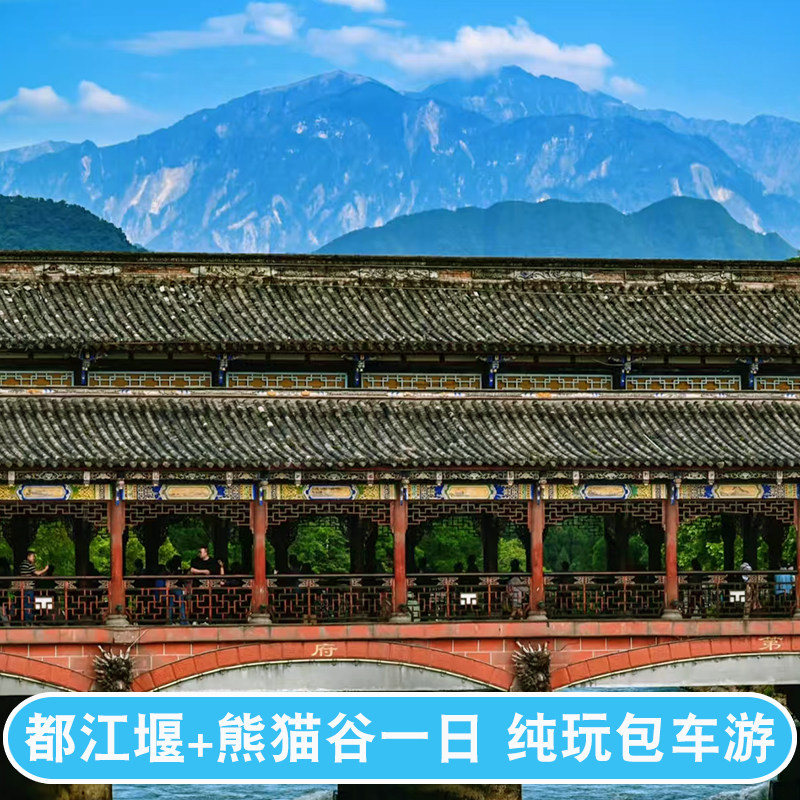 都江堰熊猫谷一日游私家团