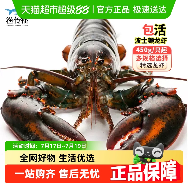 渔传播包活到家活发大波龙顺丰
