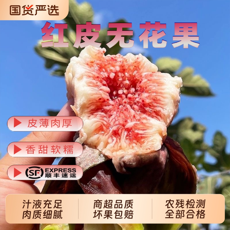 红皮无花果新鲜水果现摘现发顺丰