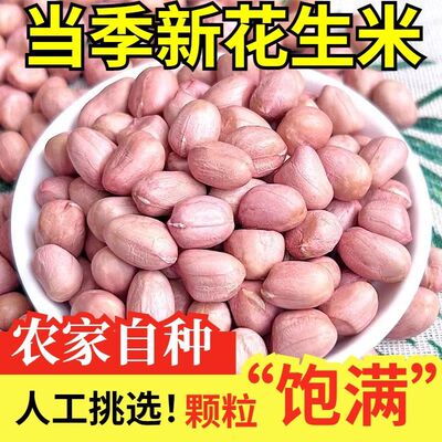 新鲜花生米粉红皮带壳大粒不带壳榨油白沙花生新货现剥生花生零食