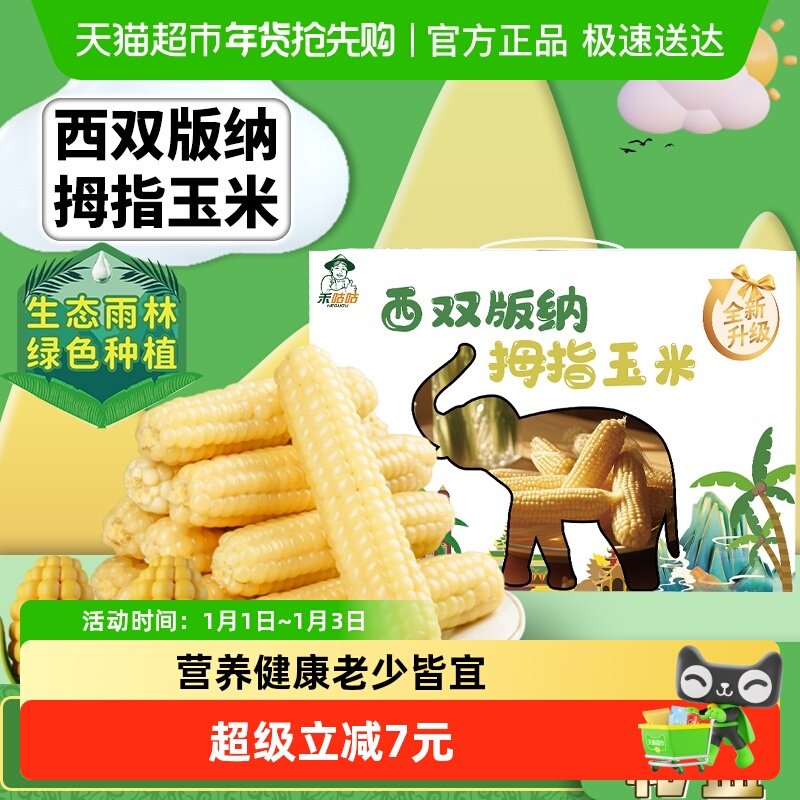 禾咕咕西双版纳拇指小糯玉米白糯玉米1kg礼盒装年货玉米儿童玉米