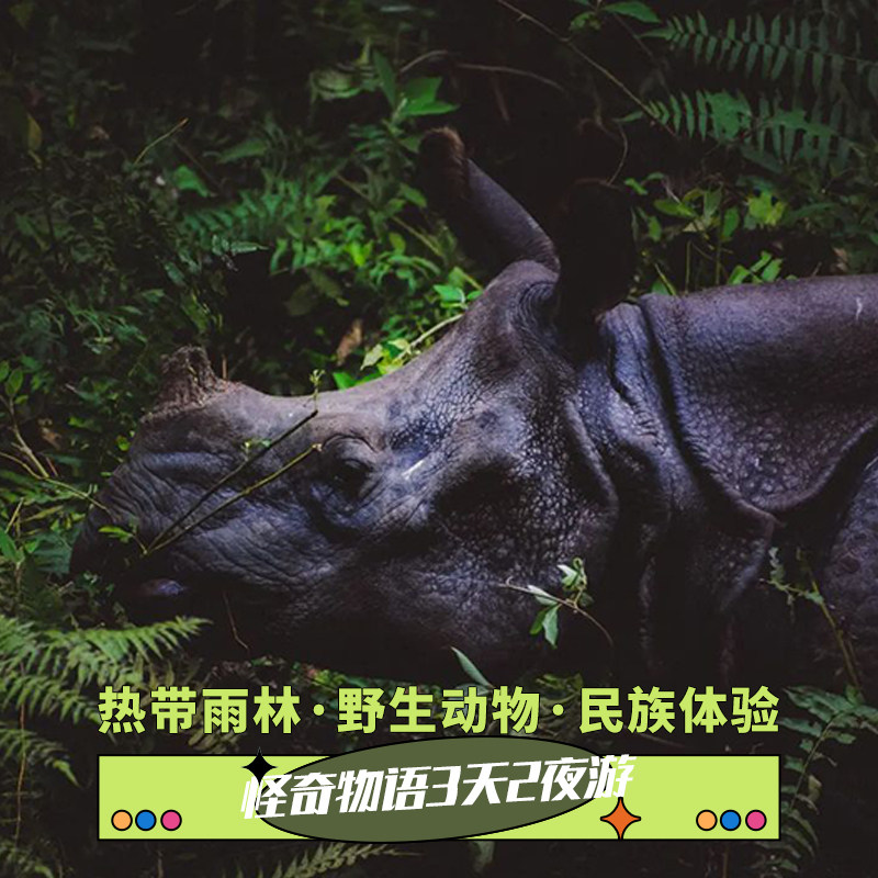 奇特旺国家森林公园一日游