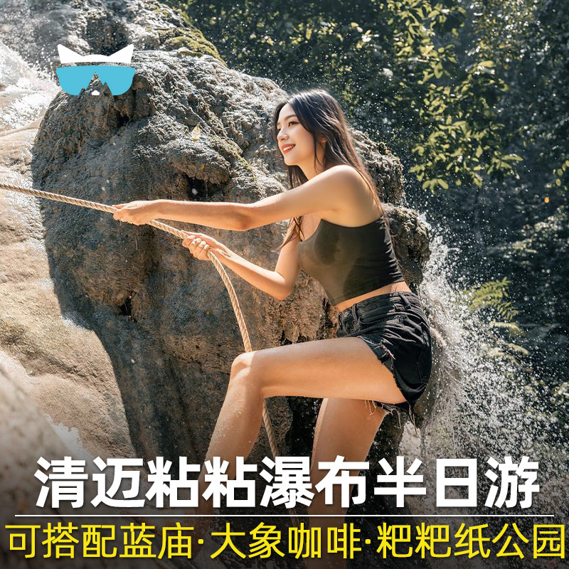 清迈大象粑粑纸一日游纯玩小团