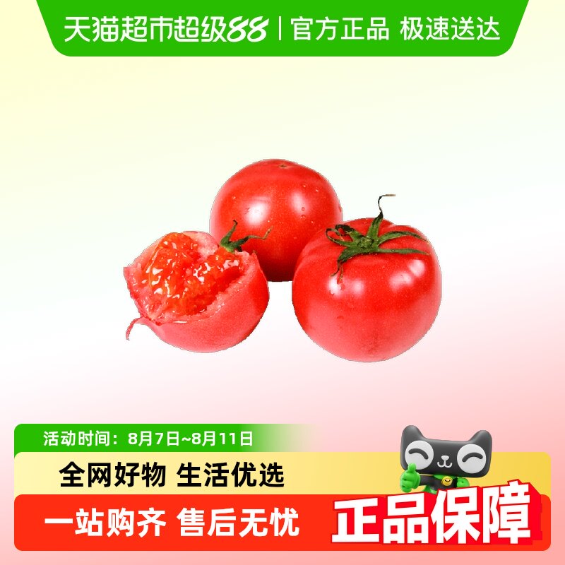 ������˹�������۶�֭������������װ�������