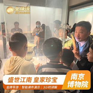 金牌说●南京博物院讲解3H金牌导游讲解大咖解说小团亲子可选门票