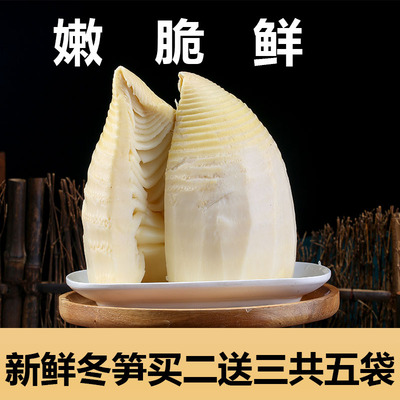 冬笋肉，小笋肉,笋米,真空包装生鲜,大小不挑净重