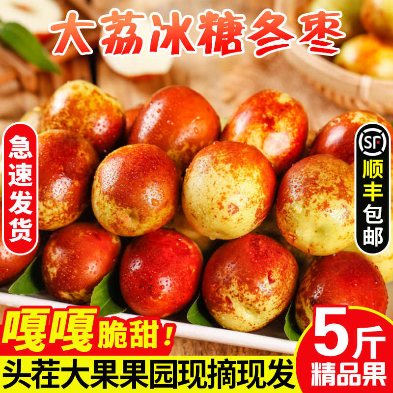 顺丰包邮正宗陕西大荔冬枣现摘脆甜大红枣应季新鲜水果青枣脆枣
