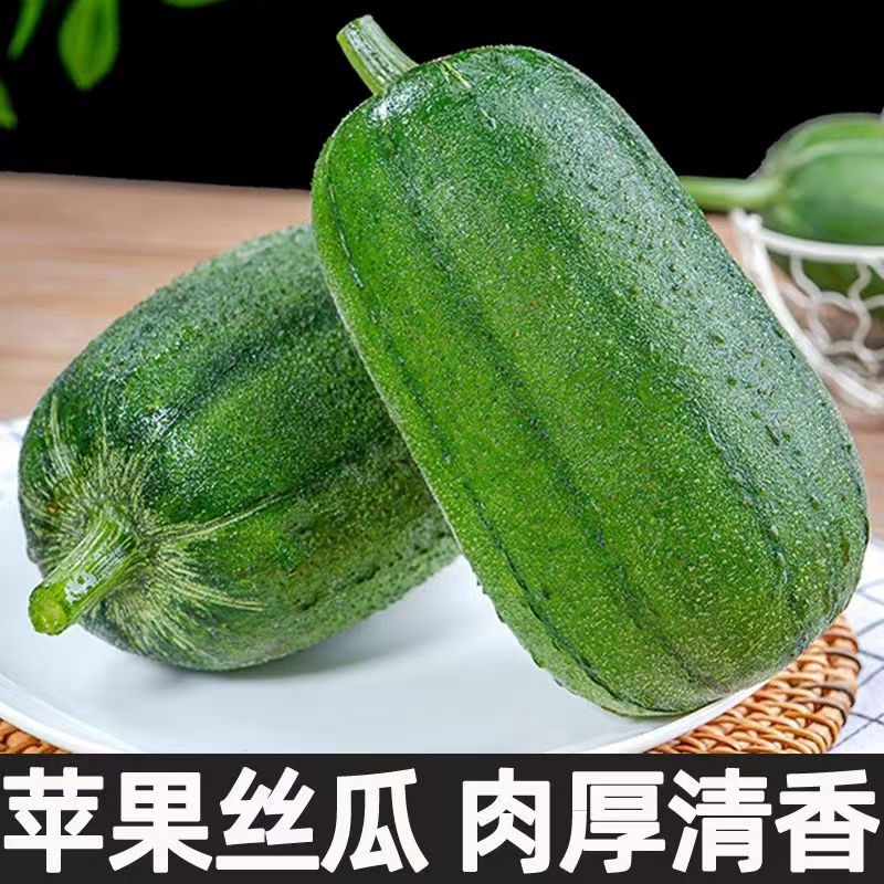 山东寿光新鲜苹果丝瓜圆丝瓜白汤丝瓜