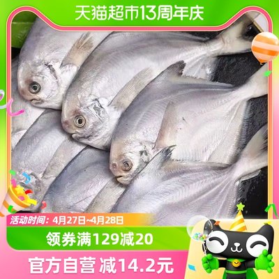 闽峡深海新鲜冷冻白鲳鱼1kg×1袋