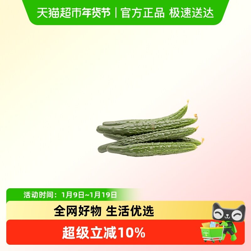 有机刺黄瓜整箱云南新鲜青瓜现摘生吃凉拌应季时令蔬菜自种嫩