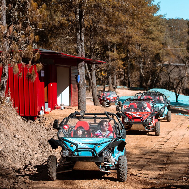 [归云庄-大门票 卡丁车 滑草 自行车 羊驼互动 丛林行走全程]电子票