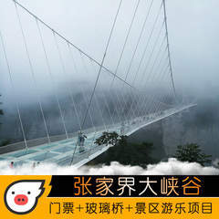 [含接送]张家界大峡谷景区玻璃桥景区门票含7选5体验项目玩乐套餐