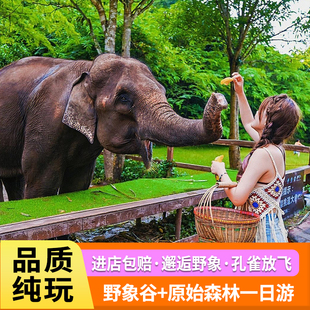 西双版纳野象谷原始森林纯玩一日游/可选15人团/曼掌村/雨林牧象