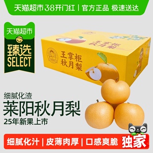 臻选【王掌柜】山东烟台莱阳秋月梨冰糖蜜梨细腻化汁