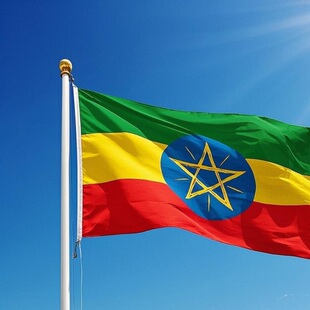 非洲签证 简单资料全国受理 埃塞俄比亚·旅游签证·北京送签·电子旅游签证 埃塞签证EVISA首都飞机入境