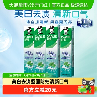 DARLIE好来(原黑人)牙膏清新双效200g*4支套装大容量清新口气