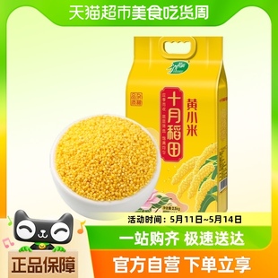 小米粥小黄米大米 十月稻田黄小米2.5kg 五谷杂粮粗粮