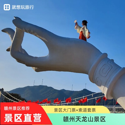 天龙山景区大门票