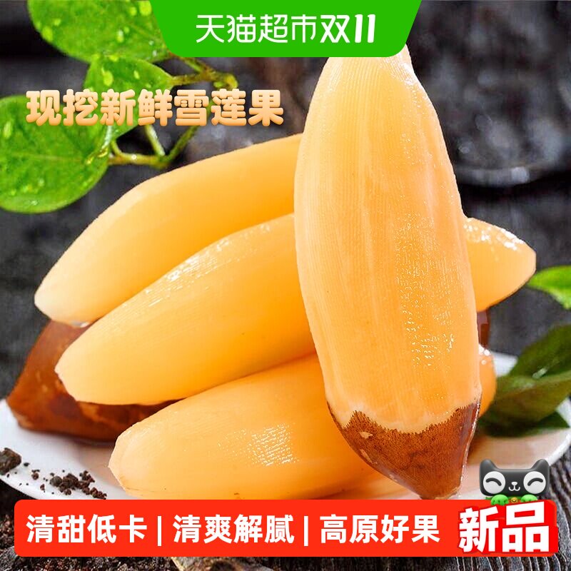 【新鲜现挖】云南高山雪莲果  清甜多汁大果脆甜气柱包装整箱时令