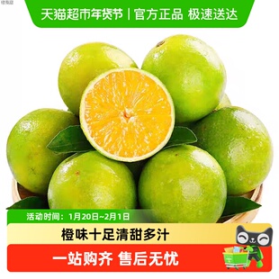 【精选】云南玉溪哀牢山冰糖橙时令现摘新鲜水果橙子绿皮橙