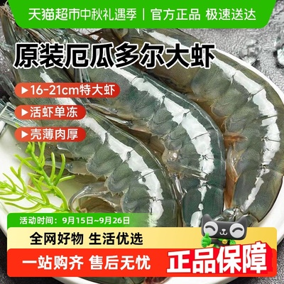 卖鱼七郎鲜活盐冻3040大虾
