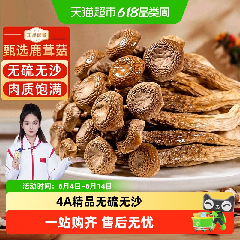 4A精品鹿茸菇干货无硫正宗菌菇非特级新鲜香菇蘑菇云南特产脆脆菇