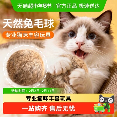 神经猫自嗨解闷猫玩具
