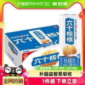 六个核桃核桃乳精品型240mL 24罐植物蛋白饮料低糖整箱 养元