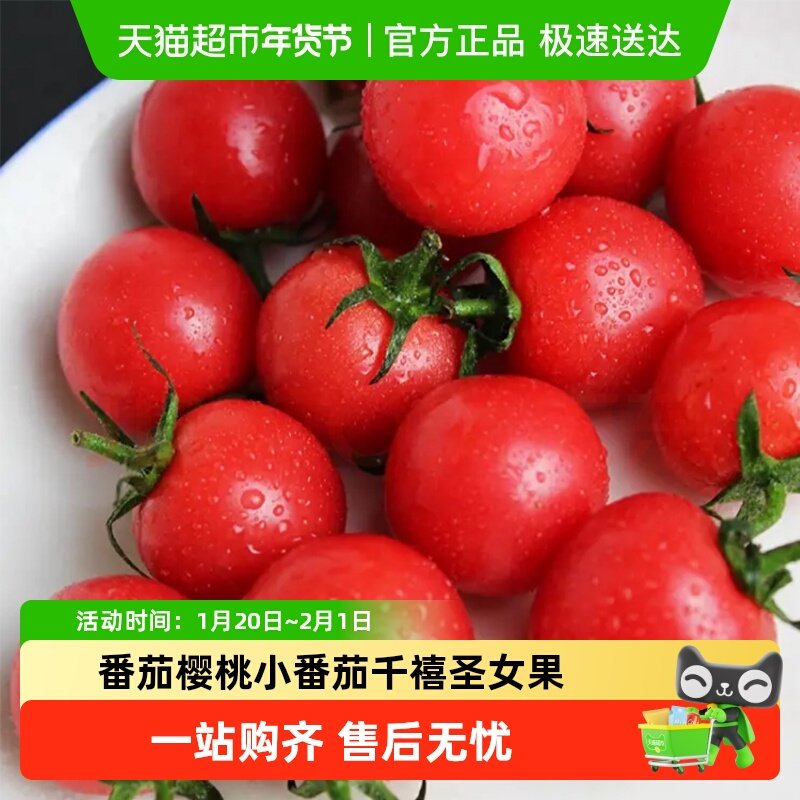番茄樱桃小番茄千禧圣女果西红柿新鲜即食当季水果颗粒装,水产肉类/新鲜蔬果/熟食,番茄,淘宝优惠券,粉丝福利购,淘宝优惠卷