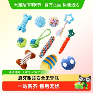 狗狗玩具宠物小狗耐咬自嗨解闷磨牙发声幼犬咬不烂小型犬比熊泰迪