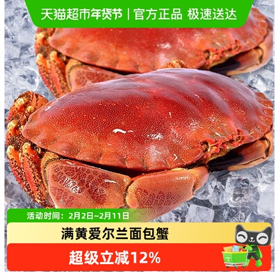 爱尔兰进口超大熟冻面包蟹