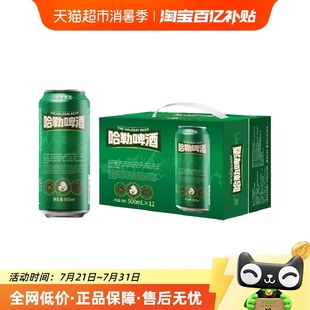 哈勒10°啤酒500ml 12罐原浆精酿啤酒纯麦小麦整箱装