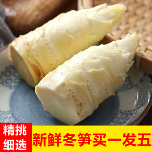 竹笋冬笋新鲜野生水煮笋现挖现剥笋肉高山农家当季 鲜嫩脆甜批发