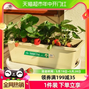深邦阳台种菜盆塑料长方形草莓盆家庭专用种菜神器室内蔬菜种植箱