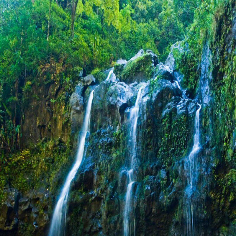 美国毛伊岛哈那高速公路冒险29354