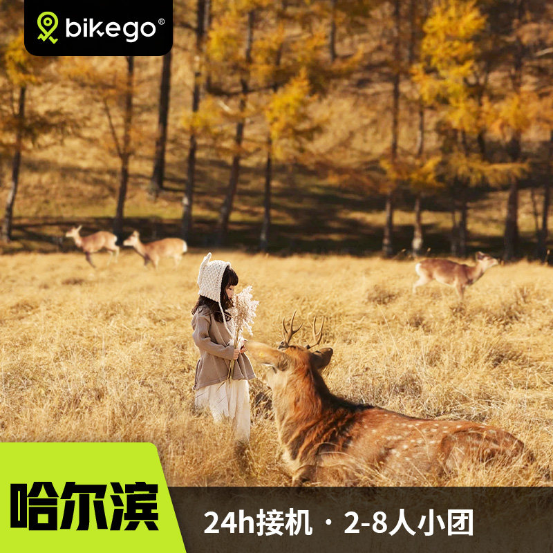 哈尔滨伊春赏秋亲子6日
