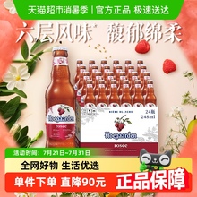 Hoegaarden/福佳玫瑰红精酿啤酒248ml*24瓶果啤整箱批发 百威集团