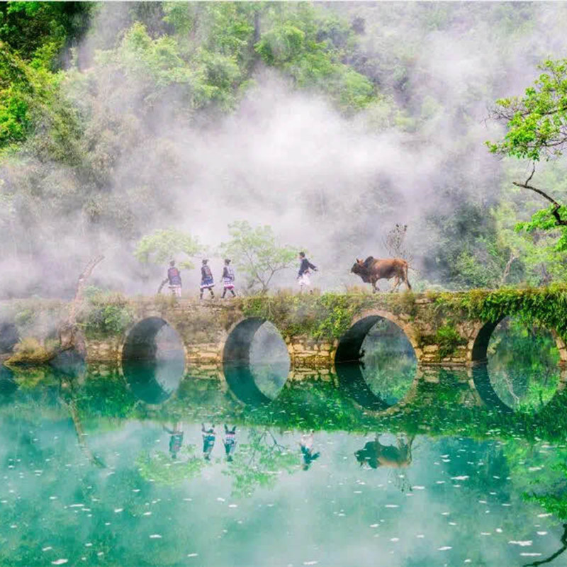 真纯玩无购物，全程纯玩不进店，成人已含景区必乘小交通费用！ 8人内迷你小团，疫情过后出游，拒绝人多人杂，安全健康出游！ 精华景点打卡：黄果树瀑布、荔波小七孔、西江千户苗寨、龙宫 私密小团，国际五星酒店+高端网红客栈+别克/奔驰/福特等小车出行