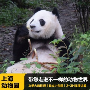 猩咖说上海动物园半日游含门票大咖2 3H讲解小包团上海旅游含耳机