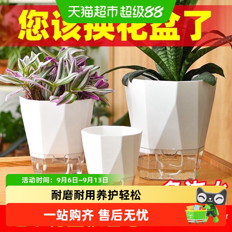 懒人自动吸水花盆清仓塑料树脂简约仿陶瓷绿萝箩多肉室内水培花盆