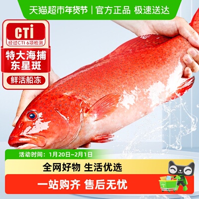 冻深东鲜活冷冻石斑鱼生鲜水产