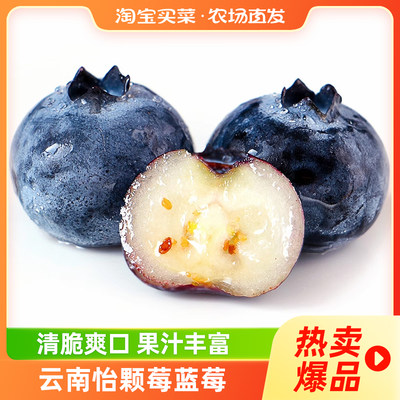 云南怡颗莓蓝莓当季新鲜水果酸甜口感现摘鲜果百亿补贴