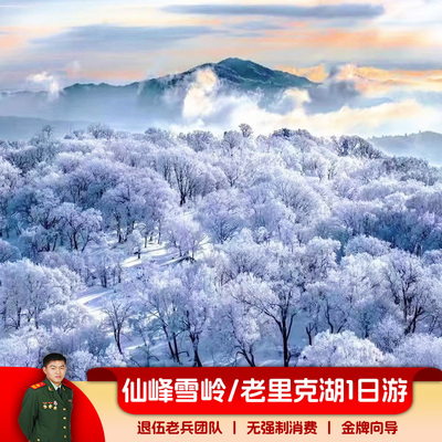 长白山雪岭老里克湖徒步穿越包车1日游 万达鲁能白河延吉敦化起止