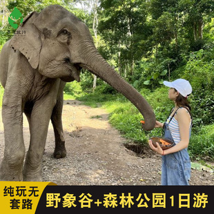 云南旅游西双版 纳一日游野象谷原始森林纯玩跟团游无套路拒绝购物