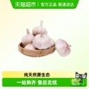 顺丰发货山东大蒜干蒜紫皮大蒜饱满均匀蒜香浓郁