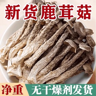 无干燥剂发货 高山鹿茸菇干货炒腊肉农家特产脆脆菇净重炖汤无熏