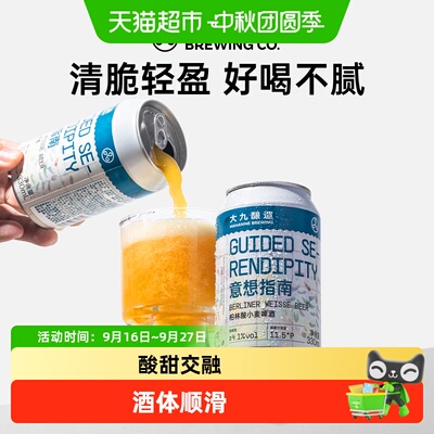 大九酿造意想指南啤酒