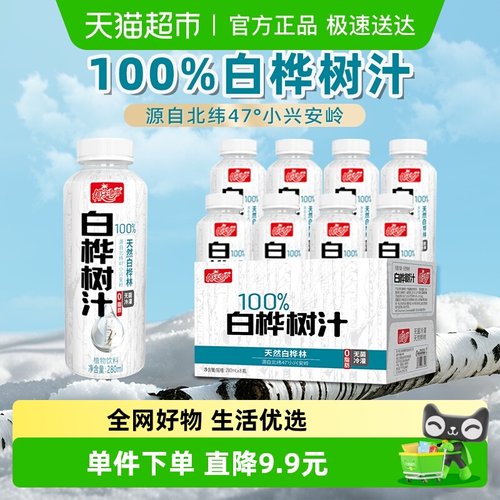 椰子泡泡100%白桦树汁植物饮料