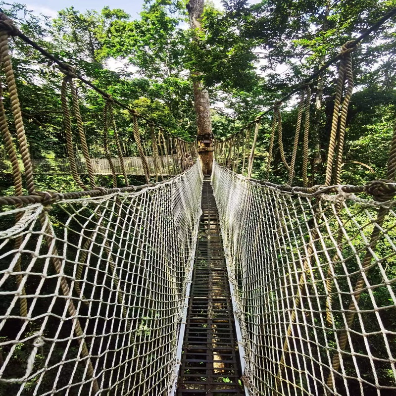 [西双版纳原始森林公园-大门票+电瓶车+高空栈道]大门票+电瓶车+高空栈道